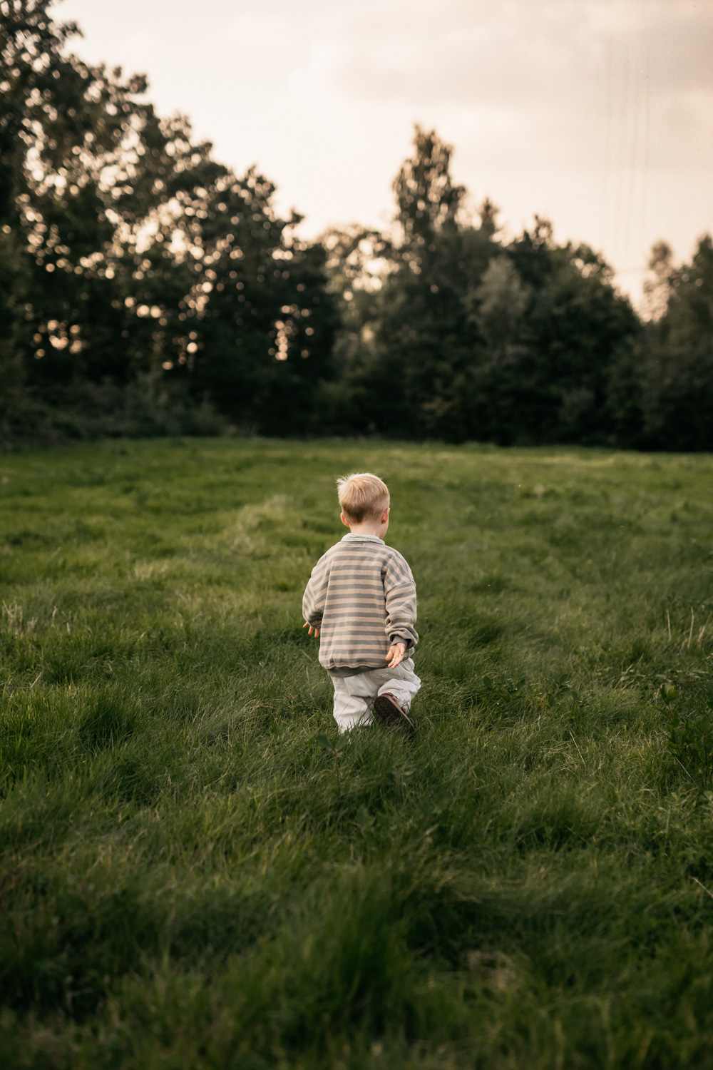 a child standing in a grassy field