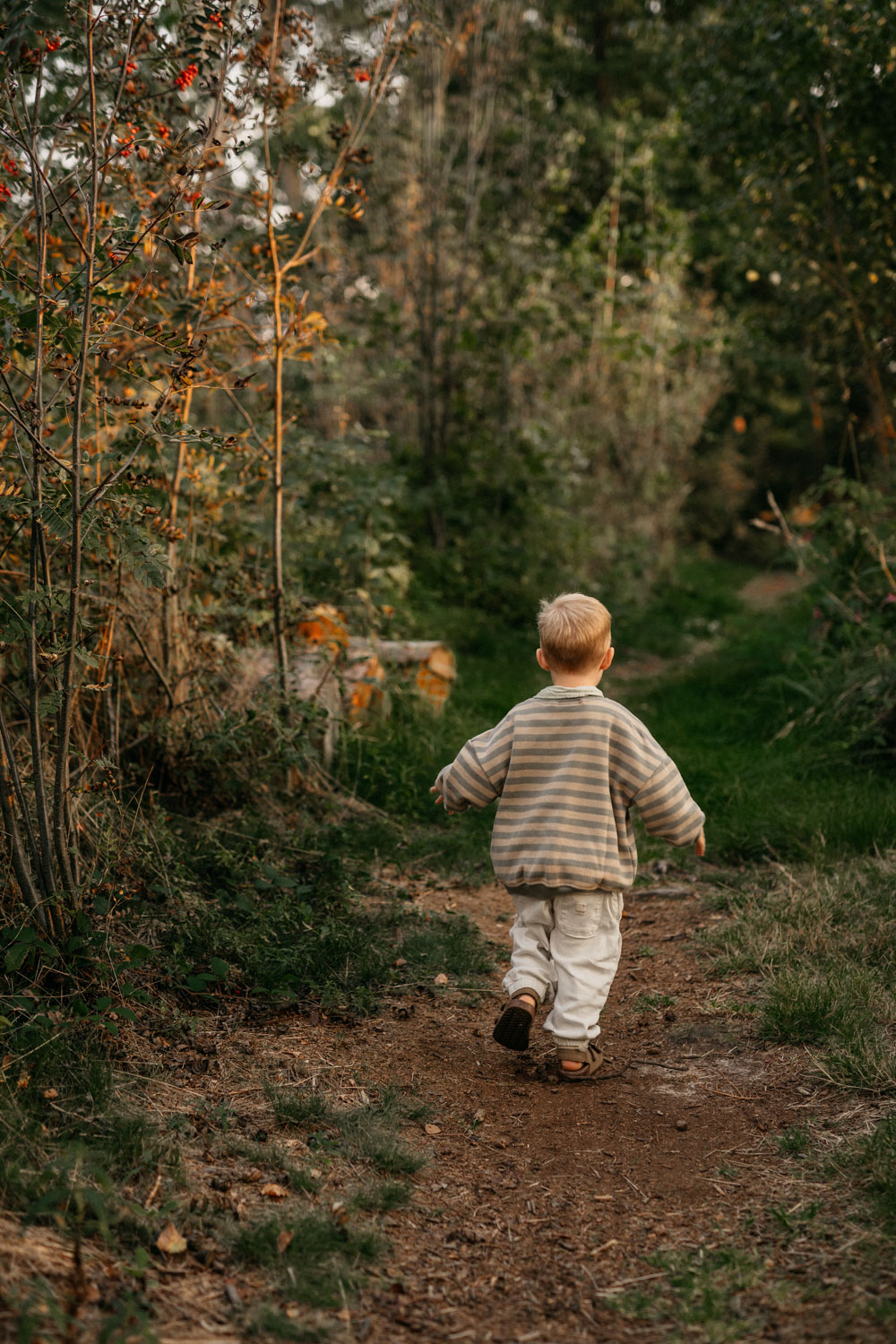 a child walking on a dirt path