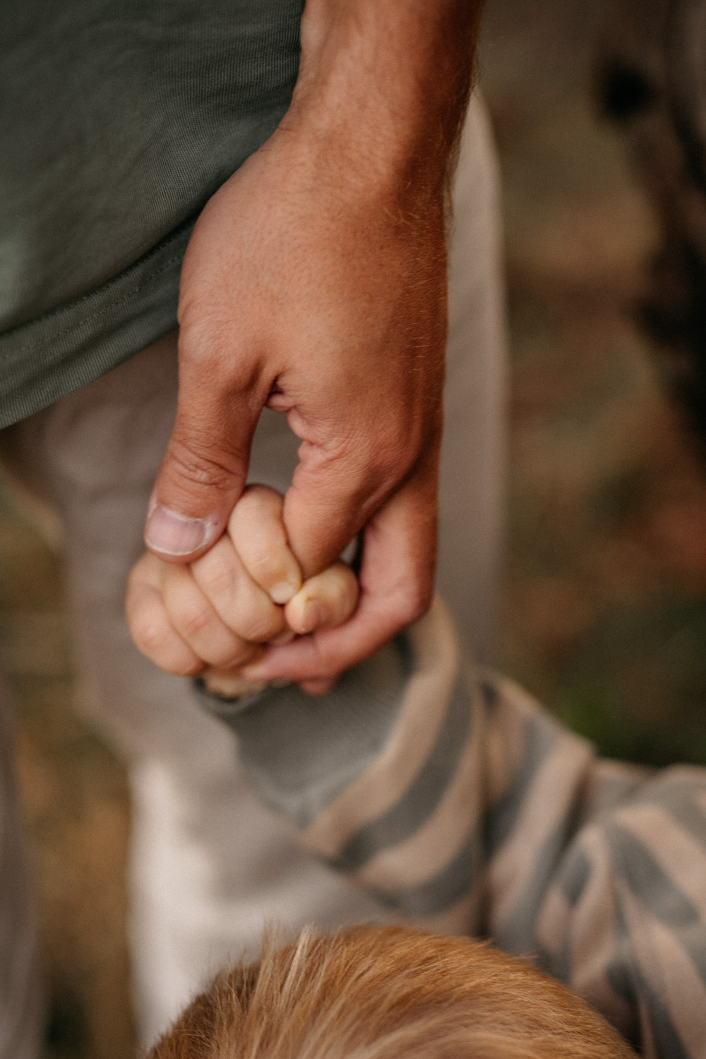 a close up of the fathers hand holding a child's hand